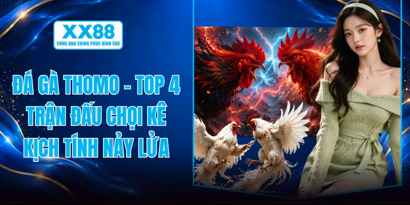Đá Gà Thomo - Top 4 Trận Đấu Chọi Kê Kịch Tính Nảy Lửa