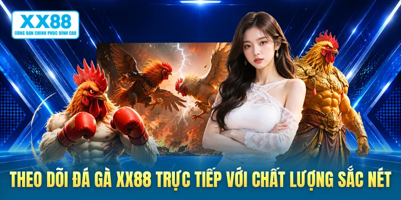Theo dõi đá gà XX88 trực tiếp với chất lượng sắc nét