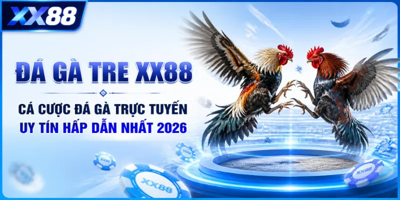 Đá gà tre XX88 – Cá cược đá gà trực tuyến uy tín hấp dẫn nhất 2026